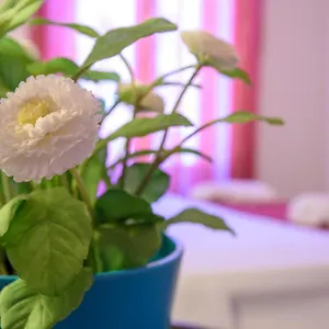 Housestation Apartment Palermo